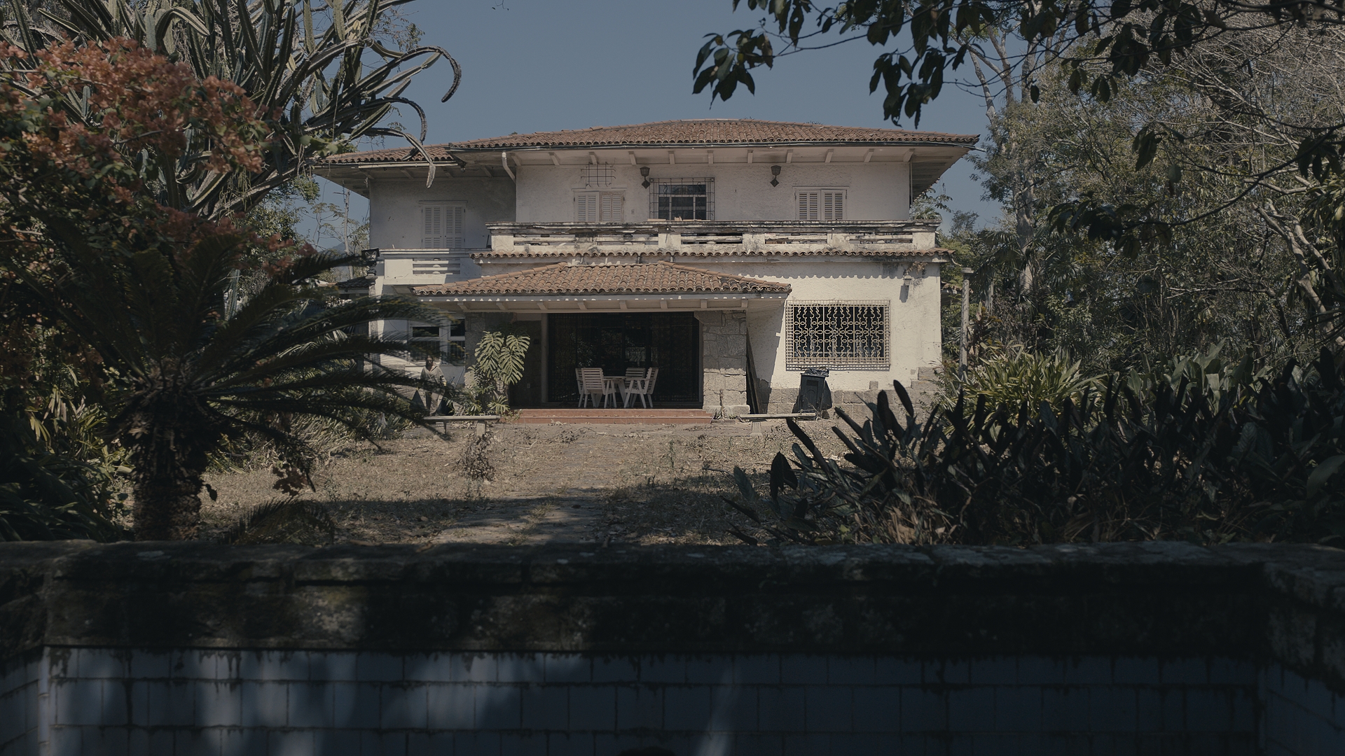 narcisa-2
